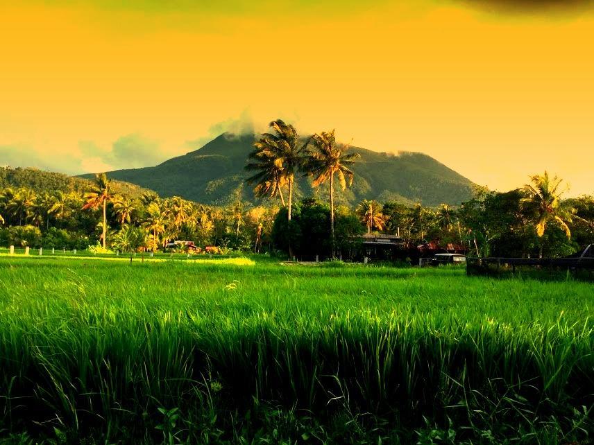 Guerrera Rice Paddy Villas Mambajao Ngoại thất bức ảnh