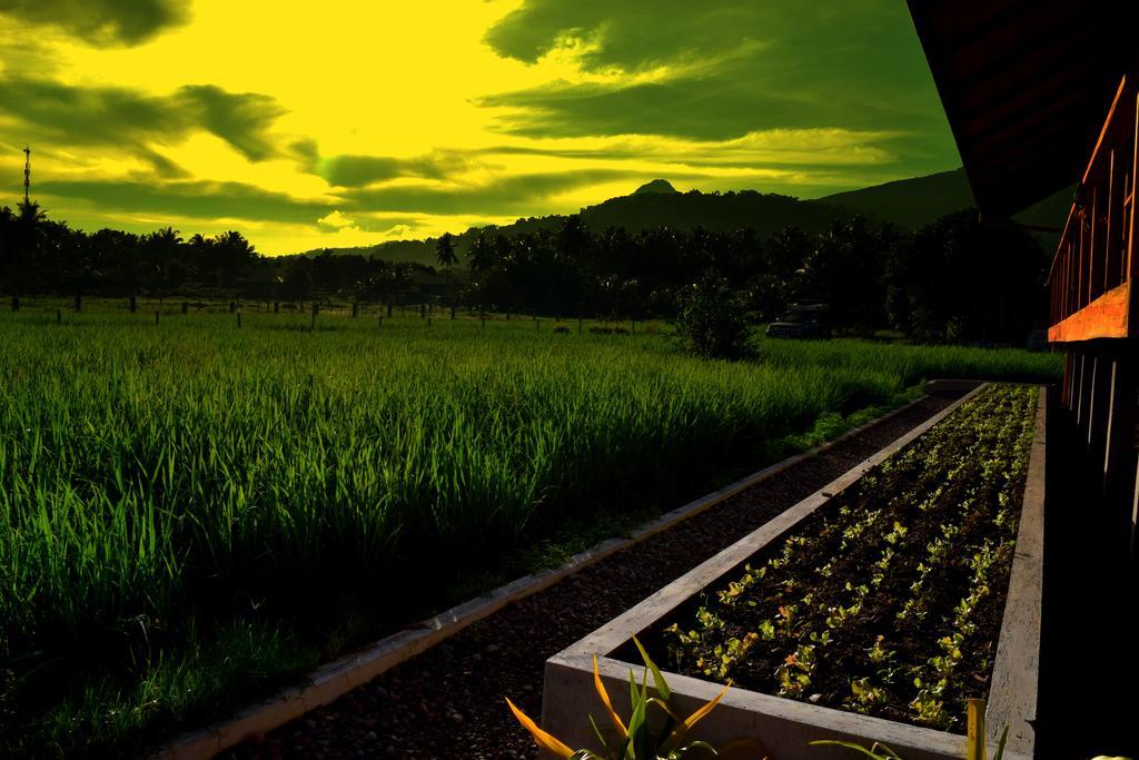 Guerrera Rice Paddy Villas Mambajao Ngoại thất bức ảnh