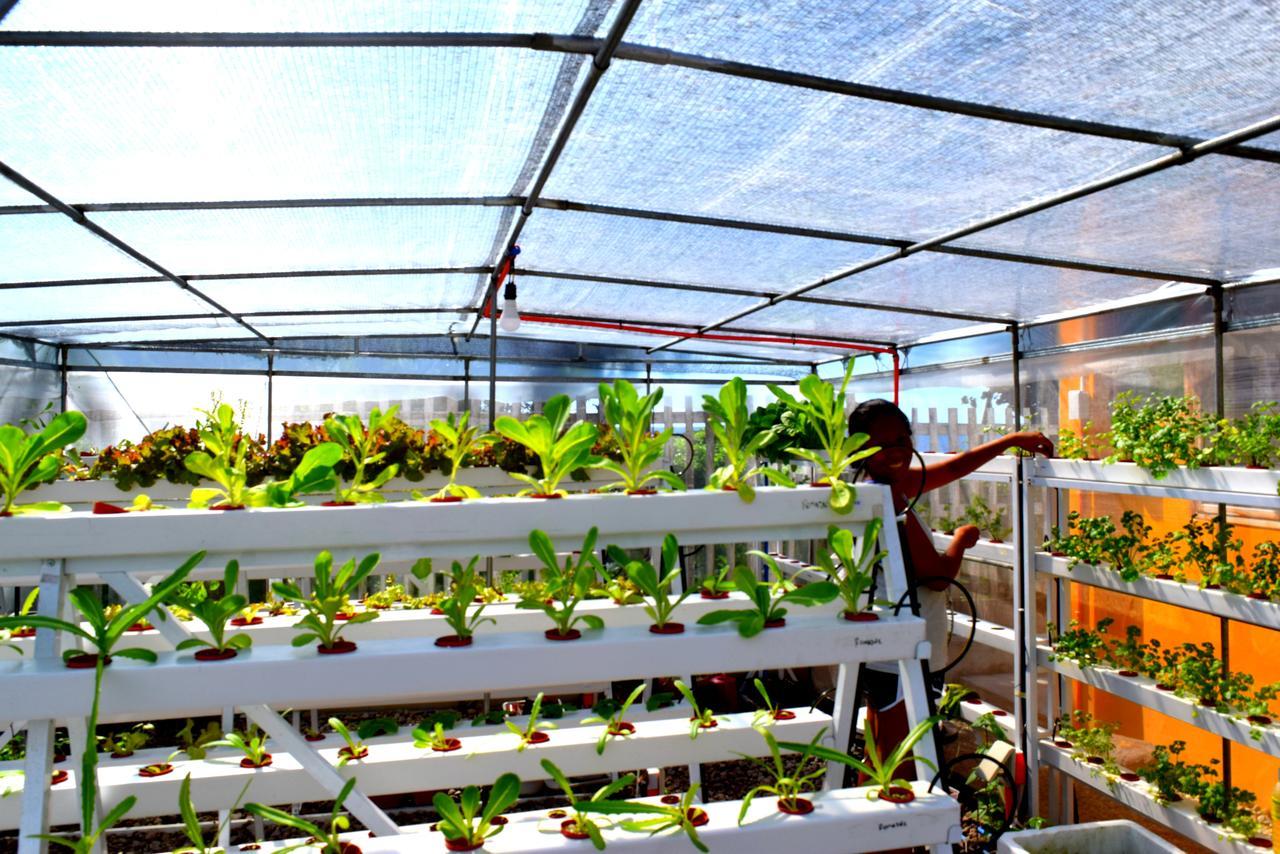 Guerrera Rice Paddy Villas Mambajao Ngoại thất bức ảnh