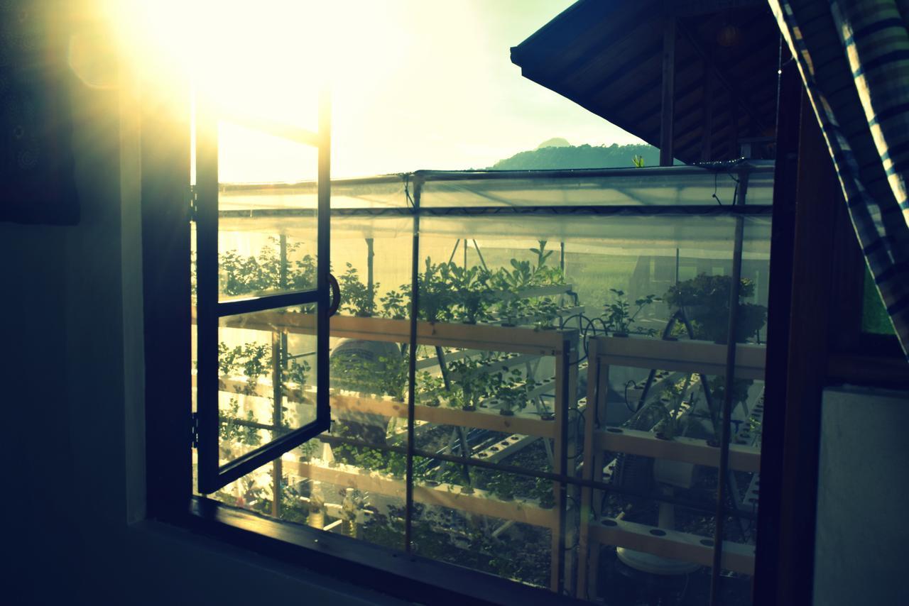 Guerrera Rice Paddy Villas Mambajao Ngoại thất bức ảnh
